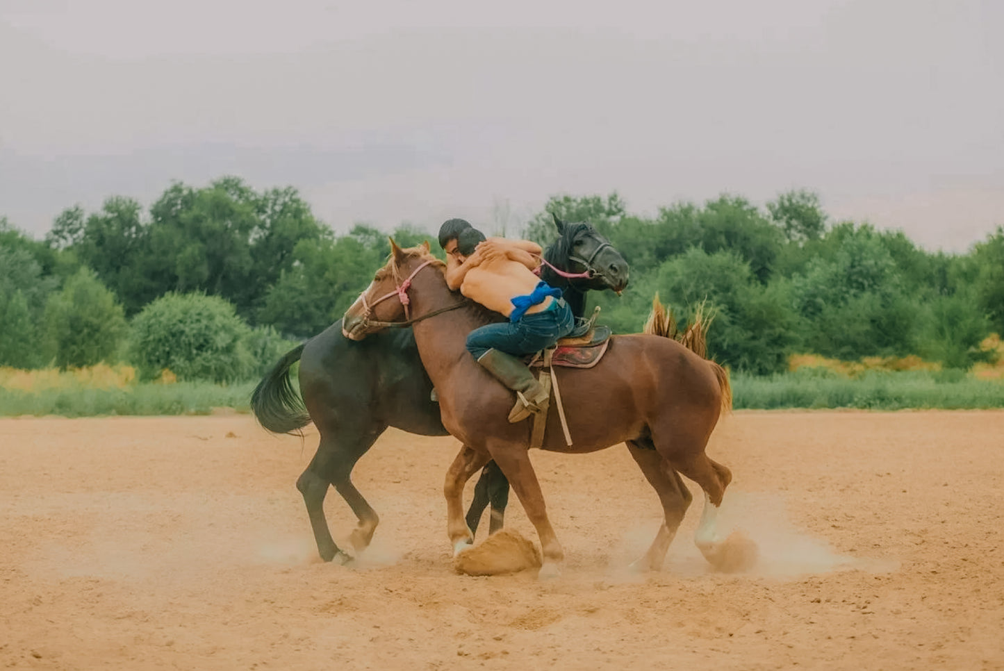 Expédition inédite : World Nomad Games