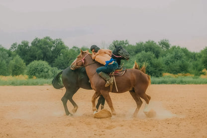 Expédition inédite : World Nomad Games